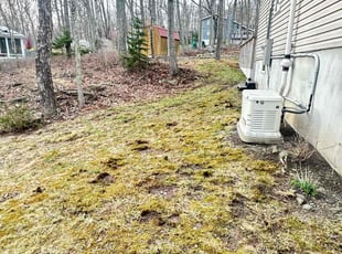 Leaf Removal by Martin Jackson for Greg G. in Hawley, PA
