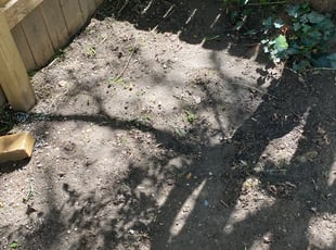 Cleanups by Jim Cooper for Sara H. in Asheville, NC