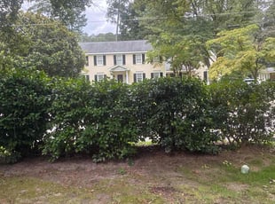 Robert K.'s Bush Trimming service result