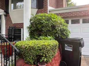 Bush Trimming by Amilcar Flores for Christopher M. in Woodbridge, VA