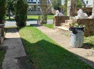 Bush Trimming by Matt Brady for Raina R. in Philadelphia, PA