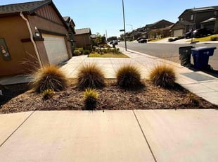 Cleanups by Dustin Espinoza for Jason M. in Fresno, CA