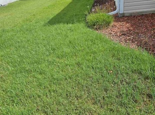 Danny O.'s Grass Cutting service result