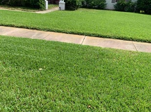 jade M.'s Lawn Maintenance service result