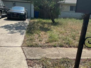 Leaf Removal by Samson Perez for Asma R. in San Antonio, TX