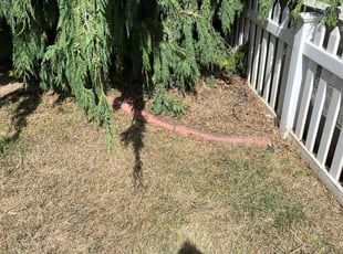 Weeding by Andrew Brisk for Sandy S. in Magna, UT