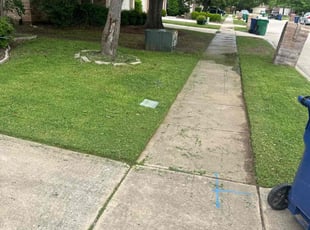Sheila C.'s Grass Cutting service result