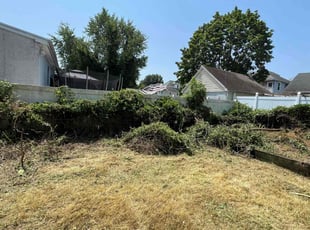 Cleanups by Khoa Tran for Jayne C. in East Lansdowne, PA