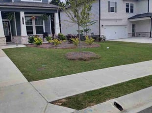 Carmen C.'s Lawn Mowing Service service result
