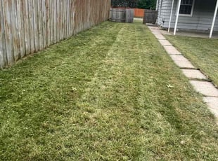 Jonathan R.'s Yard Cutting service result