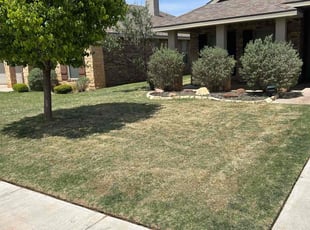 David P.'s Lawn Service service result