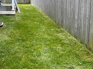 KEN L.'s Lawn Mowing service result