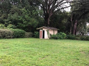 Bush Trimming by Lorraine Best for Davison H. in Ocala, FL