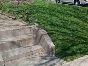 Tracey L.'s Lawn Mowing Service service result