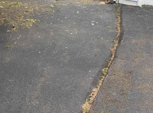 Weeding by Geraldo Caraballo for Staci W. in Hamden, CT
