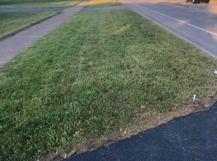Cleanups by Homecare & Lawncare for Anthony S. in Rochester, NY