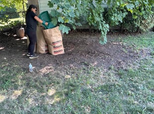 Leaf Removal by Harry Figueroa for Jennifer Q. in Chicopee, MA