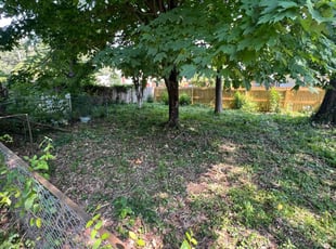 Cleanups by Brandon Sumpter for Leatrice N. in Memphis, TN