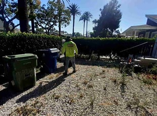 Bush Trimming by Alexander Lopez for Charlie W. in Los Angeles, CA