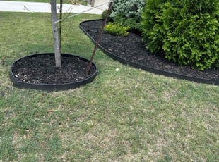 Weeding by Jose Escobedo for Michele H. in San Antonio, TX