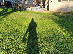 William C.'s Lawn Maintenance service result