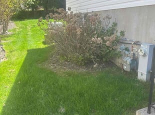 Bush Trimming by Joseph Smith for Darrell S. in Reisterstown, MD