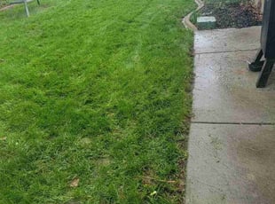 Sara D.'s Lawn Mowing service result