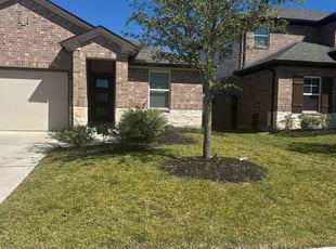 Bush Trimming by Ana Zelaya for Reginald S. in Richmond, TX