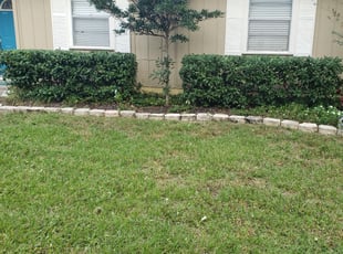 Bush Trimming by Brandon Welch for Elizabeth F. in Jacksonville, FL