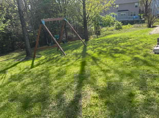 Lesley K.'s Lawn Care service result