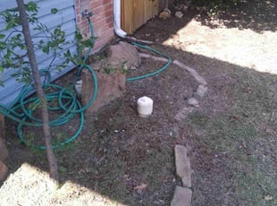 Bush Trimming by William Coffman for Jaykumar T. in Fort Worth, TX