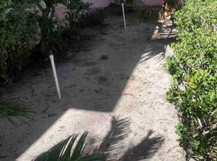 Weeding by Yohan Torres for Julie S. in Auburndale, FL
