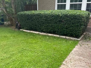 Bush Trimming by Elston Diaz for Samie L. in Dallas, TX