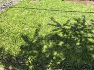 Megan V.'s Lawn Mowing Service service result