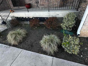 Weeding by Carlos Portillo for Nimra A. in Springfield, VA