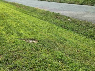 Phillip K.'s Lawn Maintenance service result