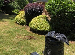 Bush Trimming by Louis Sampson for Khalida S. in Smyrna, GA