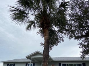 Bush Trimming by Ramon Taguja for Devin W. in Ruskin, FL