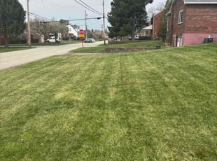 Patrick L.'s Lawn Care service result