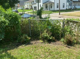 Cleanups by Kiare Salaam for Kay W. in Indianapolis, IN