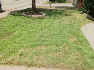 Bush Trimming by Dustin Fields for Liang H. in Lubbock, TX