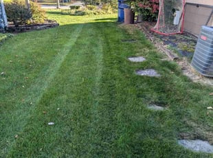 Tene T.'s Lawn Mowing Service service result