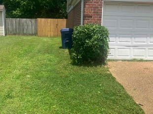 Bush Trimming by Willie Colbert for Charles C. in Horn Lake, MS