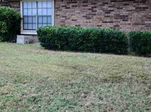 Bush Trimming by Jacob Rodriguez for Moe W. in Lancaster, TX