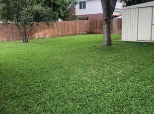 Daphnee S.'s Lawn Care service result