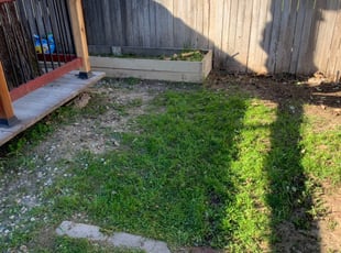 Cleanups by Jonathan Allen for Mark C. in Sacramento, CA