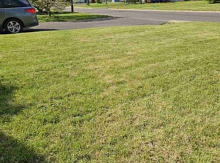 Robert L.'s Lawn Mowing service result