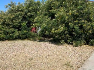 Cleanups by Bobby Parris for Joshua D. in Phoenix, AZ