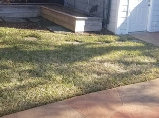 Leaf Removal by Ambrosio Javier Ocanas for Krystle G. in Dallas, TX