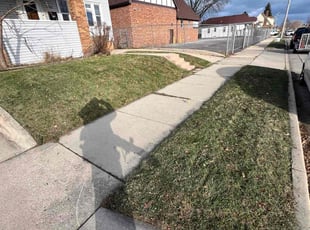 Stan C.'s Lawn Mowing service result